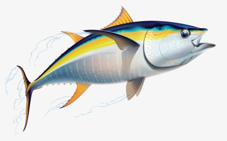 Marlin Clipart Offshore Fishing - Tuna Clipart, HD Png Download, Transparent PNG