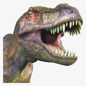 Roblox Dino Head