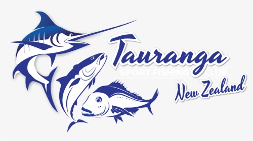 Tauranga Sport Fishing Club - Atlantic Blue Marlin, HD Png Download, Transparent PNG