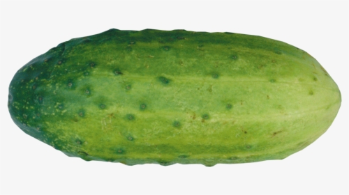 Cucumber Png - Papaya, Transparent Png, Transparent PNG