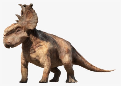 Dinosaur Png Image - Dinosaur Pachyrhinosaurus, Transparent Png, Transparent PNG