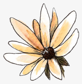 Purity Acne Clearing Cleanse Mask - Black-eyed Susan, HD Png Download, Transparent PNG