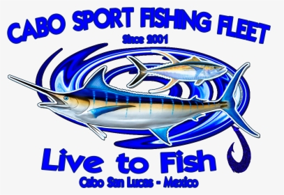 Cabo Sport Fishing Fleet - Atlantic Blue Marlin, HD Png Download, Transparent PNG