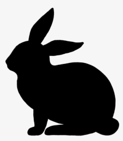 Easter Bunny Rabbit Illustration Vector Graphics Image - Rabbit Vector Png, Transparent Png, Transparent PNG