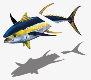 Marlin Clipart Tuna - Billfish, HD Png Download, Transparent PNG