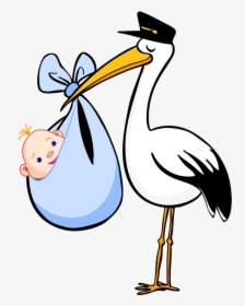 Stork Baby Png - Stork Clipart, Transparent Png, Transparent PNG