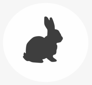 Clip Art Rabbit Silhouette Vector Graphics Portable - Clipart Rabbit Silhouette, HD Png Download, Transparent PNG