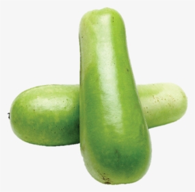 Opo Squash, Each - Gourd, HD Png Download, Transparent PNG