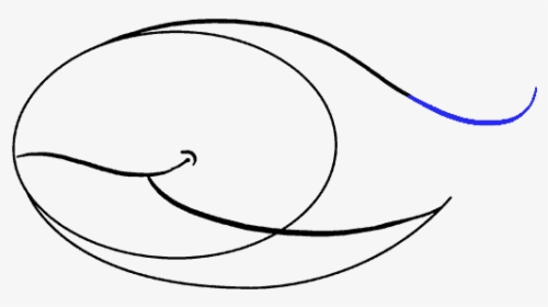 How To Draw A Whale In A Few Easy Steps Easy Drawing - Line Art, HD Png Download, Transparent PNG