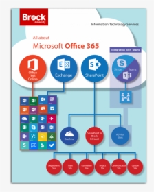 All About O365 Infographic - Information Technology Services Infographic, HD Png Download, Transparent PNG