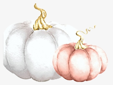 #watercolor #pumpkins #white #pink #fall #autumn #harvest - Pumpkin, HD Png Download, Transparent PNG