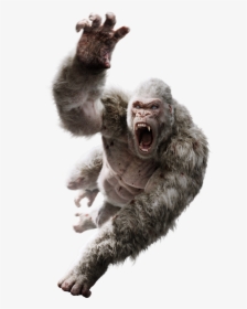 Drawing Godzilla Foot - Rampage George Vs King Kong, HD Png Download, Transparent PNG
