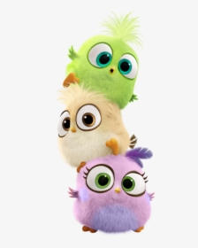 Cute Baby Angry Birds, HD Png Download, Transparent PNG