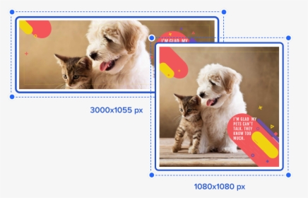Resize Your Content Screen - Best Dogs And Cats, HD Png Download, Transparent PNG