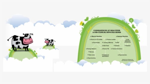 Milk Fever Graph4 - Cartoon, HD Png Download, Transparent PNG