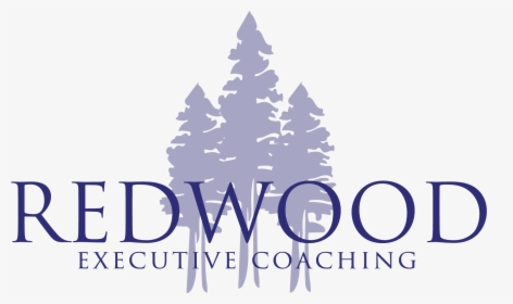 Redwood Executive Coaching - Olive Tree, HD Png Download, Transparent PNG