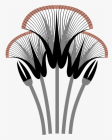 Smalllogo Cullenmcaskill Graphicdesign Frederickmd - Illustration, HD Png Download, Transparent PNG