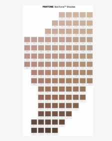 The Color Iq Skin Tone Chart - List Of Foundation Shades, HD Png Download, Transparent PNG