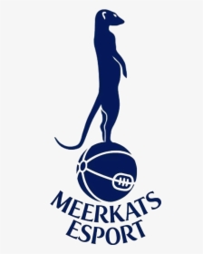 Tottenham Hotspur, HD Png Download, Transparent PNG