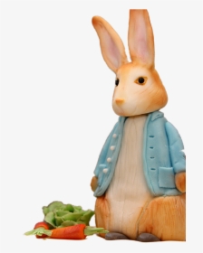 Domestic Rabbit, HD Png Download, Transparent PNG