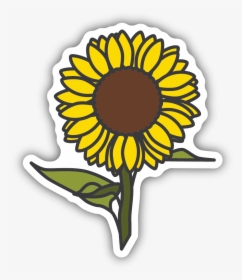 Sunflower Sticker - Sunflower Stickers, HD Png Download, Transparent PNG