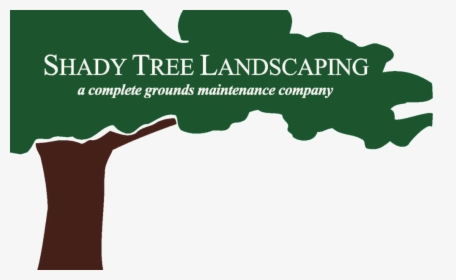 Shady Tree Bc Logo, HD Png Download, Transparent PNG
