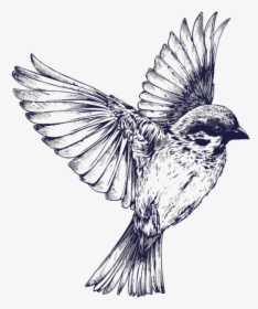 Tattoo Flight Sparrow Painted Drawing Vector Swallow - Black And White Bird Tattoo, HD Png Download, Transparent PNG