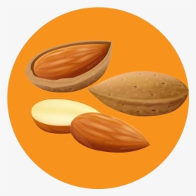 Almond - Chocolate, HD Png Download, Transparent PNG