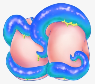 **pre-order** Tentacle Butt Charms • Wishes Come True, HD Png Download, Transparent PNG