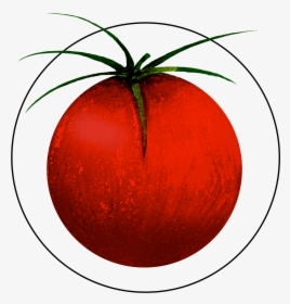 Attribute Motif Tomato - Tomato, HD Png Download, Transparent PNG