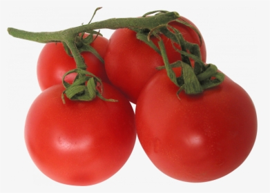 Now You Can Download Tomato Icon Png - Transparent Background Tomatoes Png, Png Download, Transparent PNG