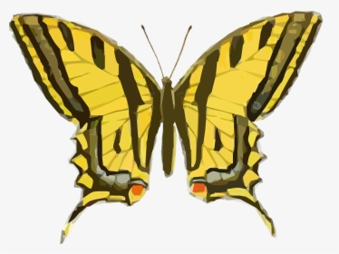 Butterfly Vintage Illustration, HD Png Download, Transparent PNG