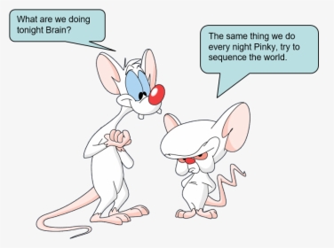 Pinky And The Brain Png, Transparent Png, Transparent PNG