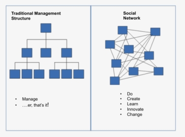 Hierarchies & Networks - Enterprise Social Network Diagram, HD Png Download, Transparent PNG