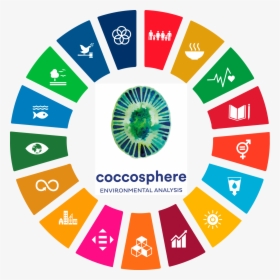 Sustainable Development Goals Wheel, HD Png Download, Transparent PNG