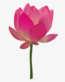 Transparent Pink Flower Emoji Png - Flower Clipart Transparent Background, Png Download, Transparent PNG