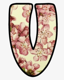 Peach Blossom, HD Png Download, Transparent PNG