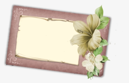Antique Roses Clipart Illustrations Bundle 25 Hi Res - Hibiscus, HD Png Download, Transparent PNG