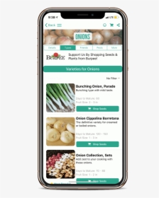 Natural Foods, HD Png Download, Transparent PNG