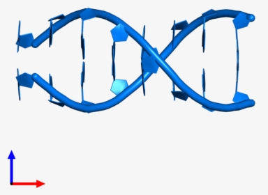 Rna Png, Transparent Png, Transparent PNG