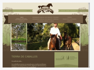 Caballos Png, Transparent Png, Transparent PNG