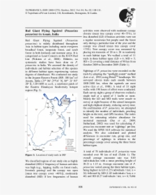 Document, HD Png Download, Transparent PNG