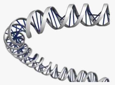 3d Dna Png Download - Portable Network Graphics, Transparent Png, Transparent PNG