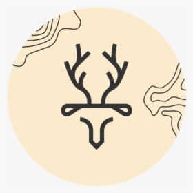 Circle, HD Png Download, Transparent PNG