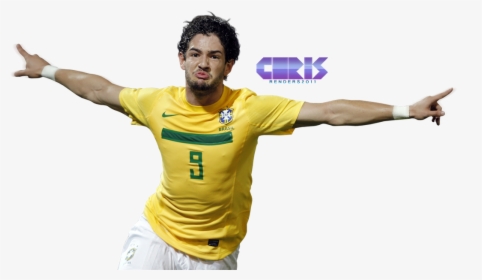 Pato Copa America 2011, HD Png Download, Transparent PNG