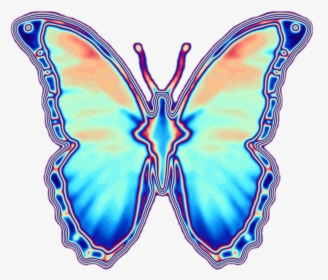 Emoji Clipart Butterfly - Butterfly, HD Png Download, Transparent PNG