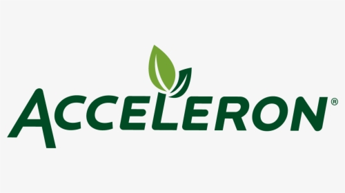 Producto Acceleron, HD Png Download , Transparent Png Image - PNGitem