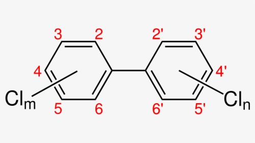 Polychlorinated Biphenyl Congeners, HD Png Download, Transparent PNG