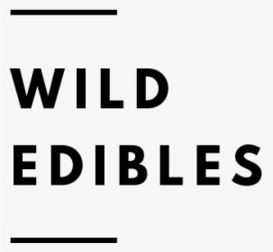 Botanical Folk Wild Food Recipes - Monochrome, HD Png Download, Transparent PNG