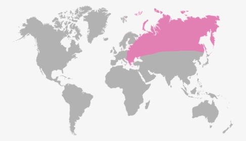 World Map, HD Png Download, Transparent PNG